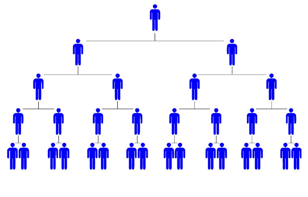 MLM Software